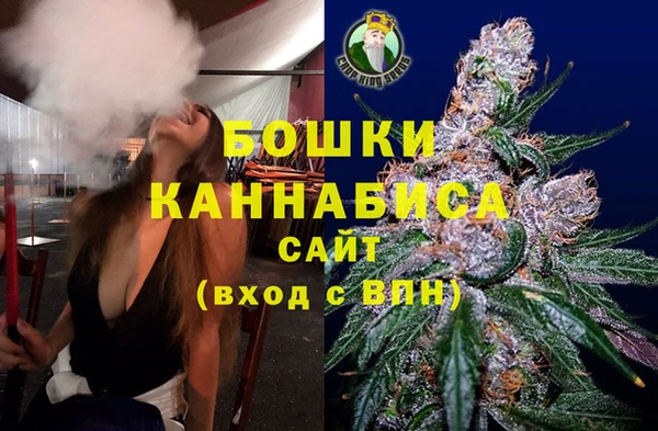 шишки Бородино